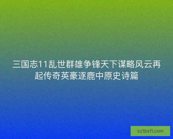 三国志11乱世群雄争锋天下谋略风云再起传奇英豪逐鹿中原史诗篇