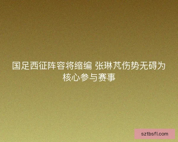 国足西征阵容将缩编 张琳芃伤势无碍为核心参与赛事